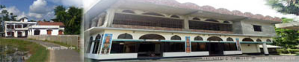 দারোগা পুকুরপাড় জমে মসজিদ