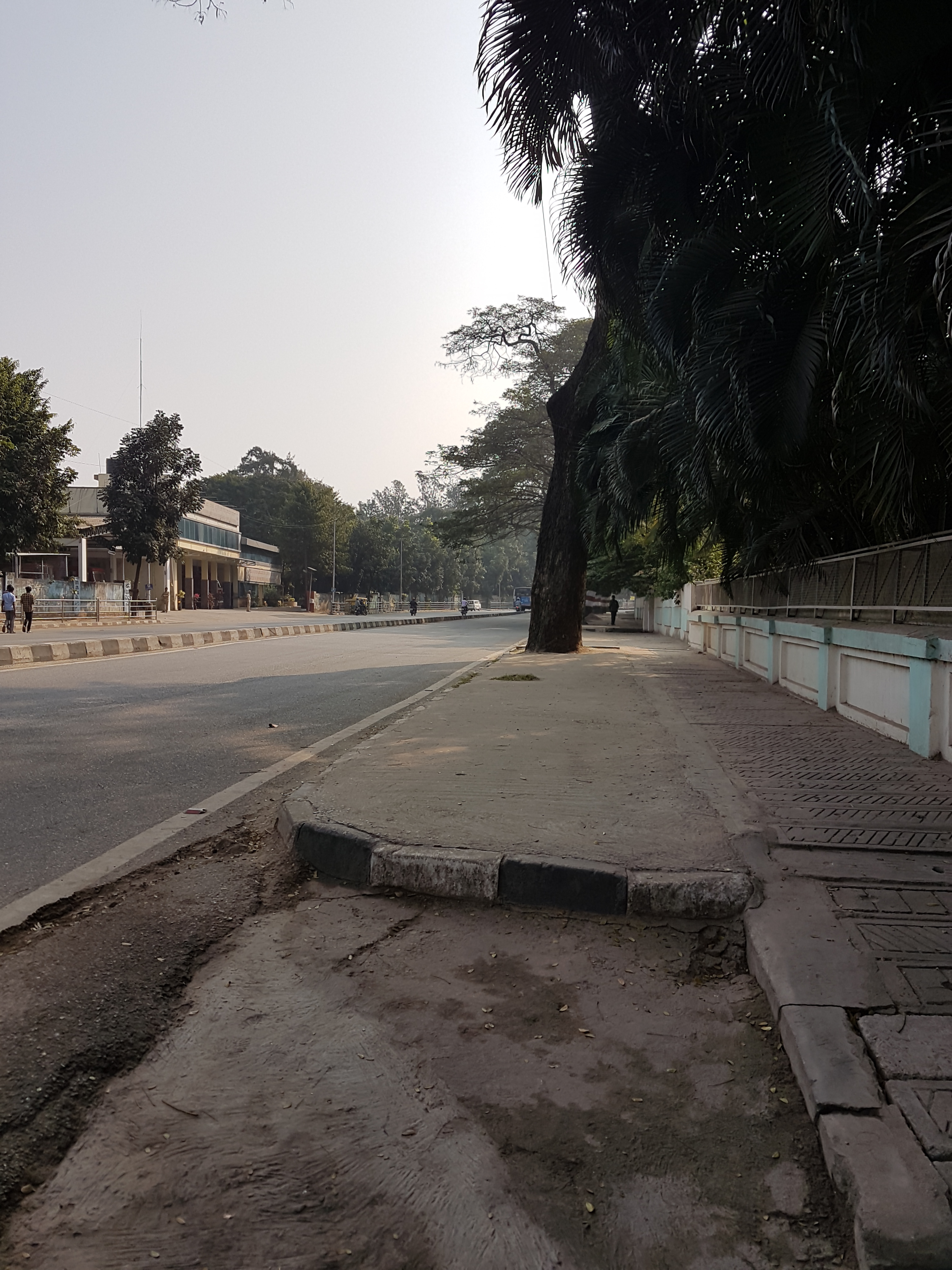 ফটোগ্যালারি1