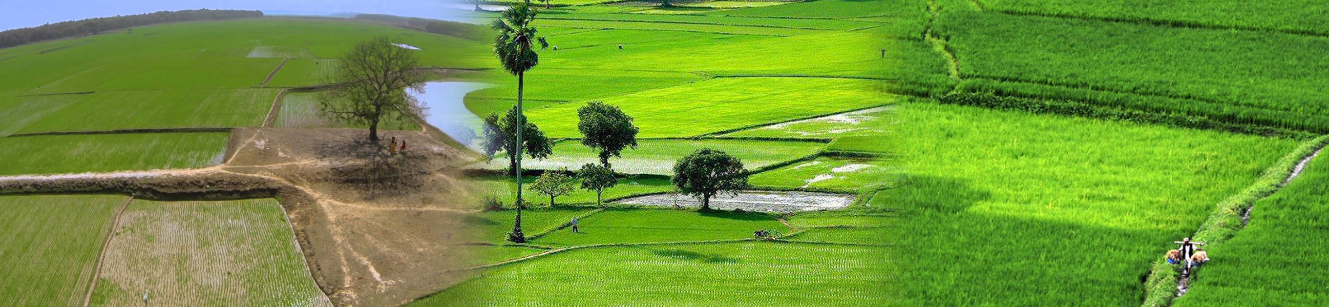 ভূমি আপীল বোর্ড