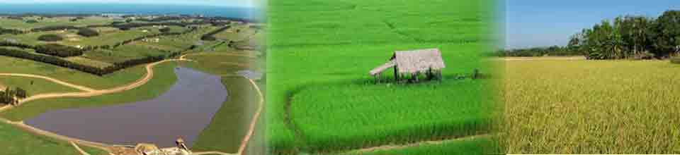 ভূমি আপীল বোর্ড