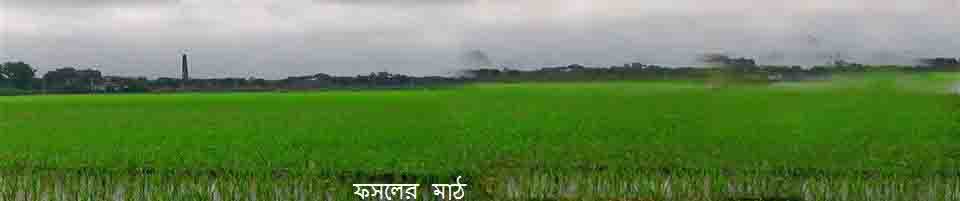 প্রথম পাতা