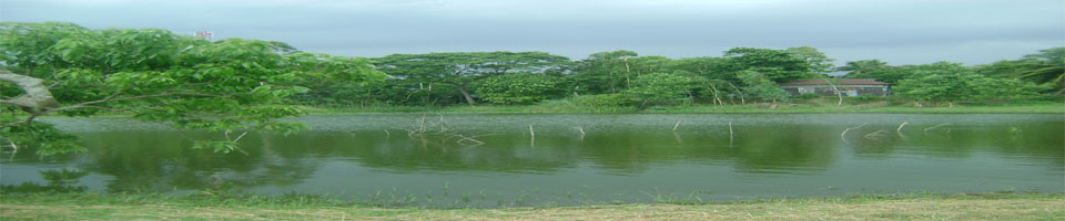 লাখাই ইউনিয়ন