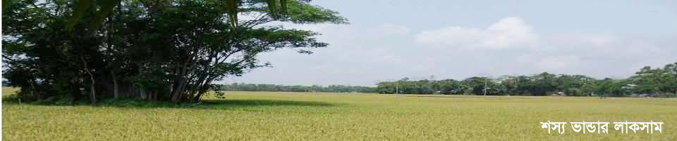 শস্য ভান্ডার