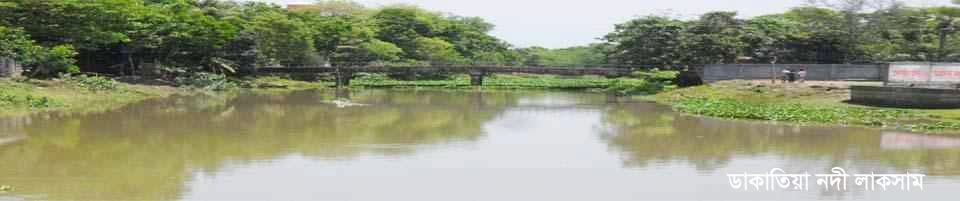 ডাকাতিয়া নদী