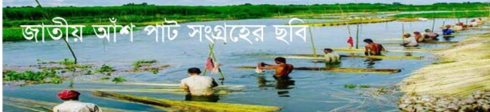 পাট সংগ্রহের ছবি