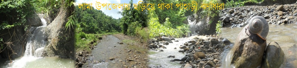 পার্বত্য লামার অপরুপ দৃশ্য
