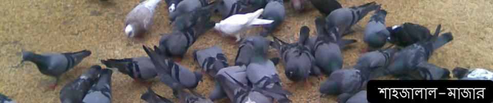 শাহজালাল (র:)মাজার
