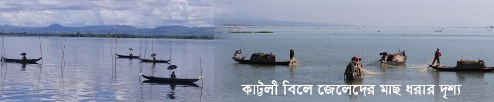 কাপ্তাই হ্রদের কাট্টলী বিলে জেলেদের মাছ ধরার দৃশ্য