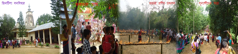 তিনটিলা বনবিহার, লংগদু।