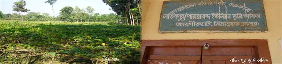 সিম গাছ,ইউনিয়ন ভূমি অফিস