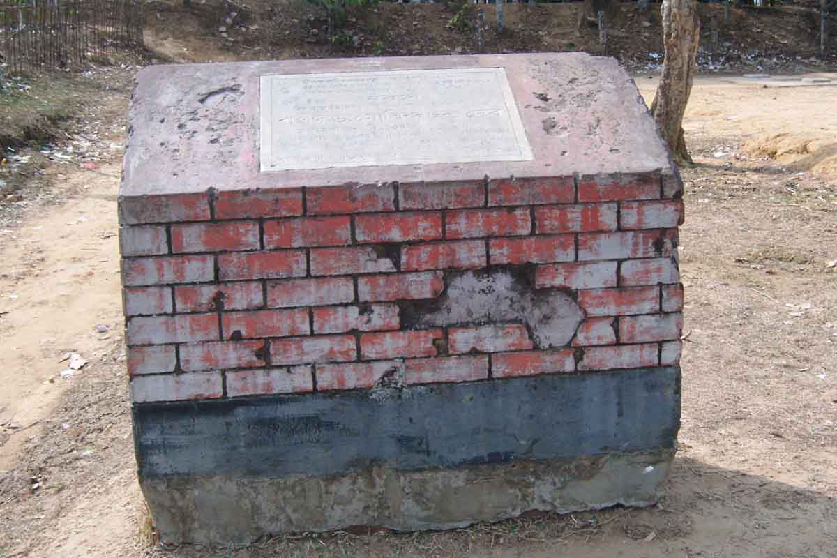 ফটো গ্যালারী 