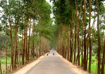 স্থানীয় সরকার প্রকৌশল