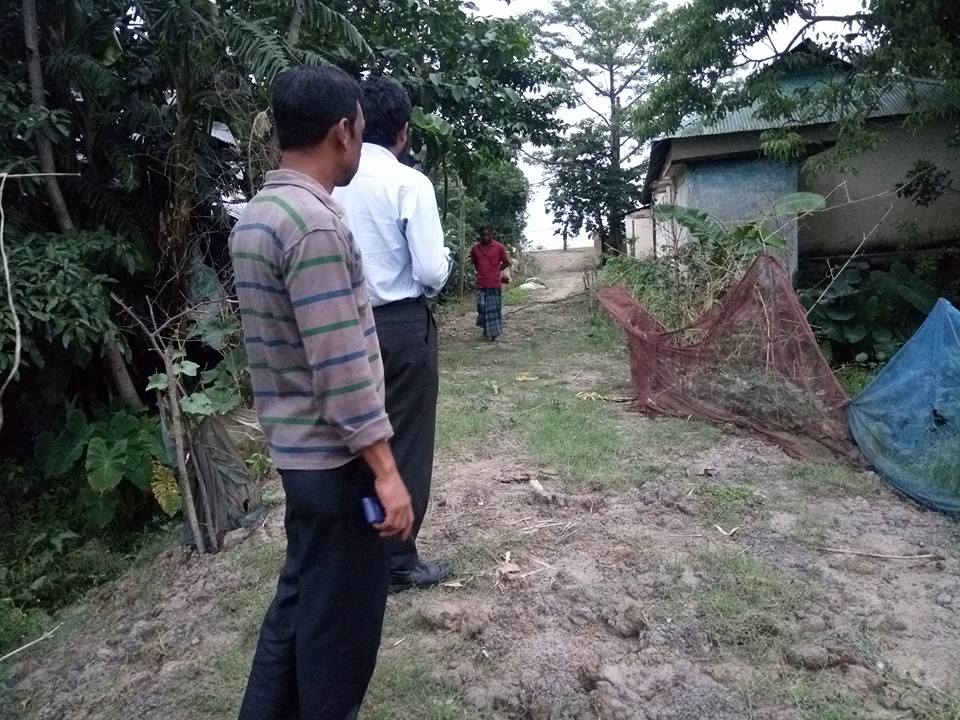 প্রজেক্টস পিকচার