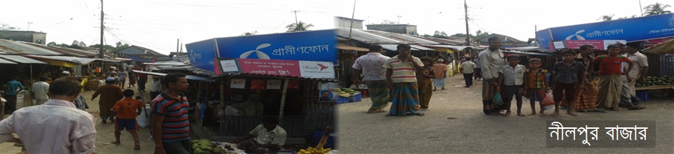 লক্ষণশ্রী ইউনিয়নের নীলপুর বাজার