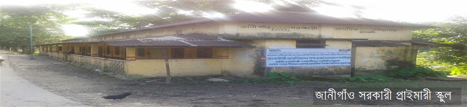 জানীগাঁও সরকারী প্রাইমারী স্কুল