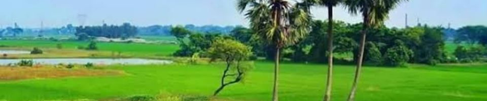 প্রকৃতি