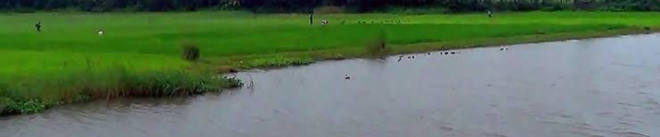 নদী