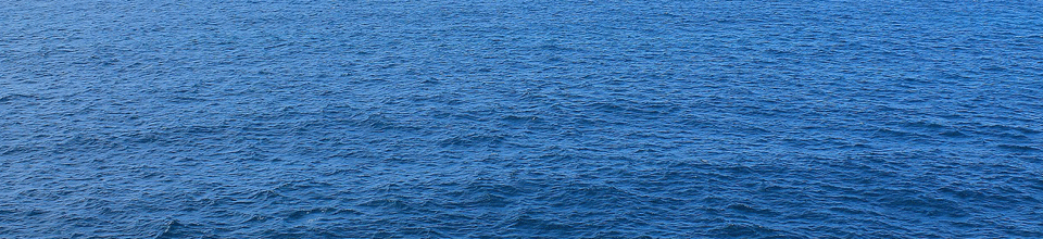 ব্যানার-১