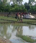 ভুমি অফিস