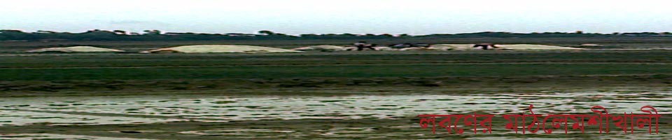 লেমশীখালী লবণ মাঠ