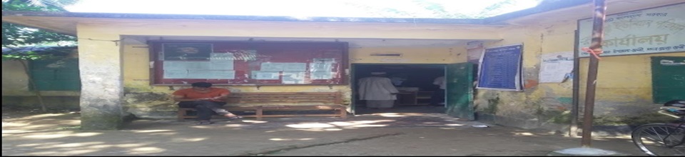 লেমুয়া ইউপি ছবি