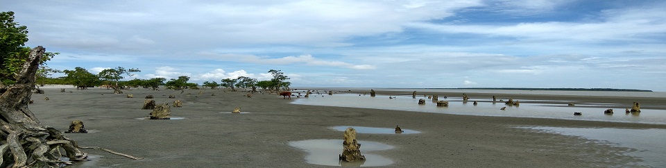 কুয়াকাটা সমুদ্র সৈকত