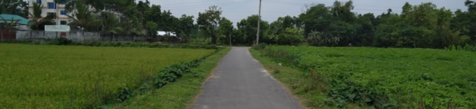 কামালপুর