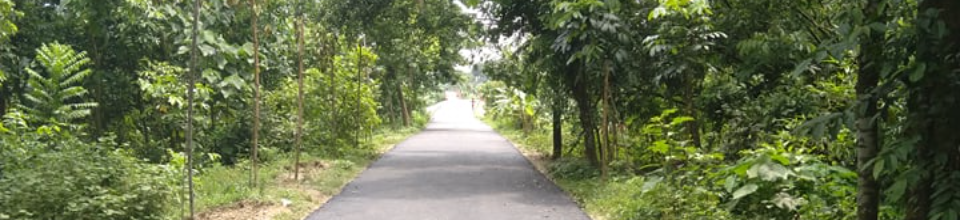 পিরিজপুর বোর্ড বাজার-নবুরিয়া সড়ক