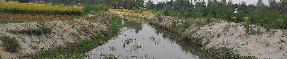 ব্যানার