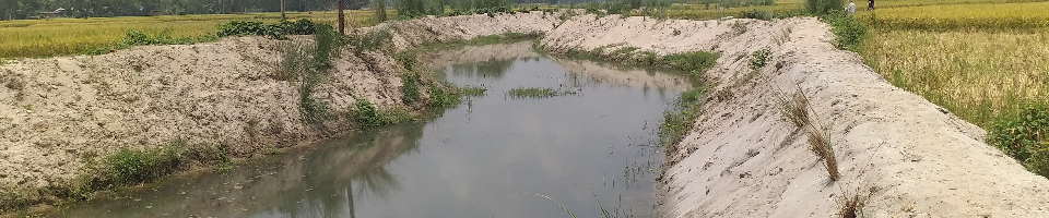 ব্যানার