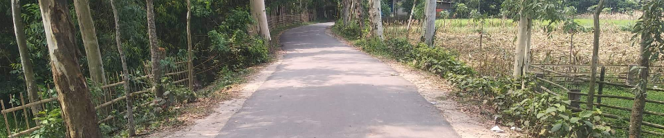 ব্যানার