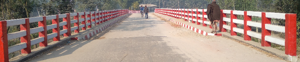 ব্যানার