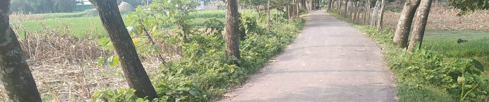 ব্যানার