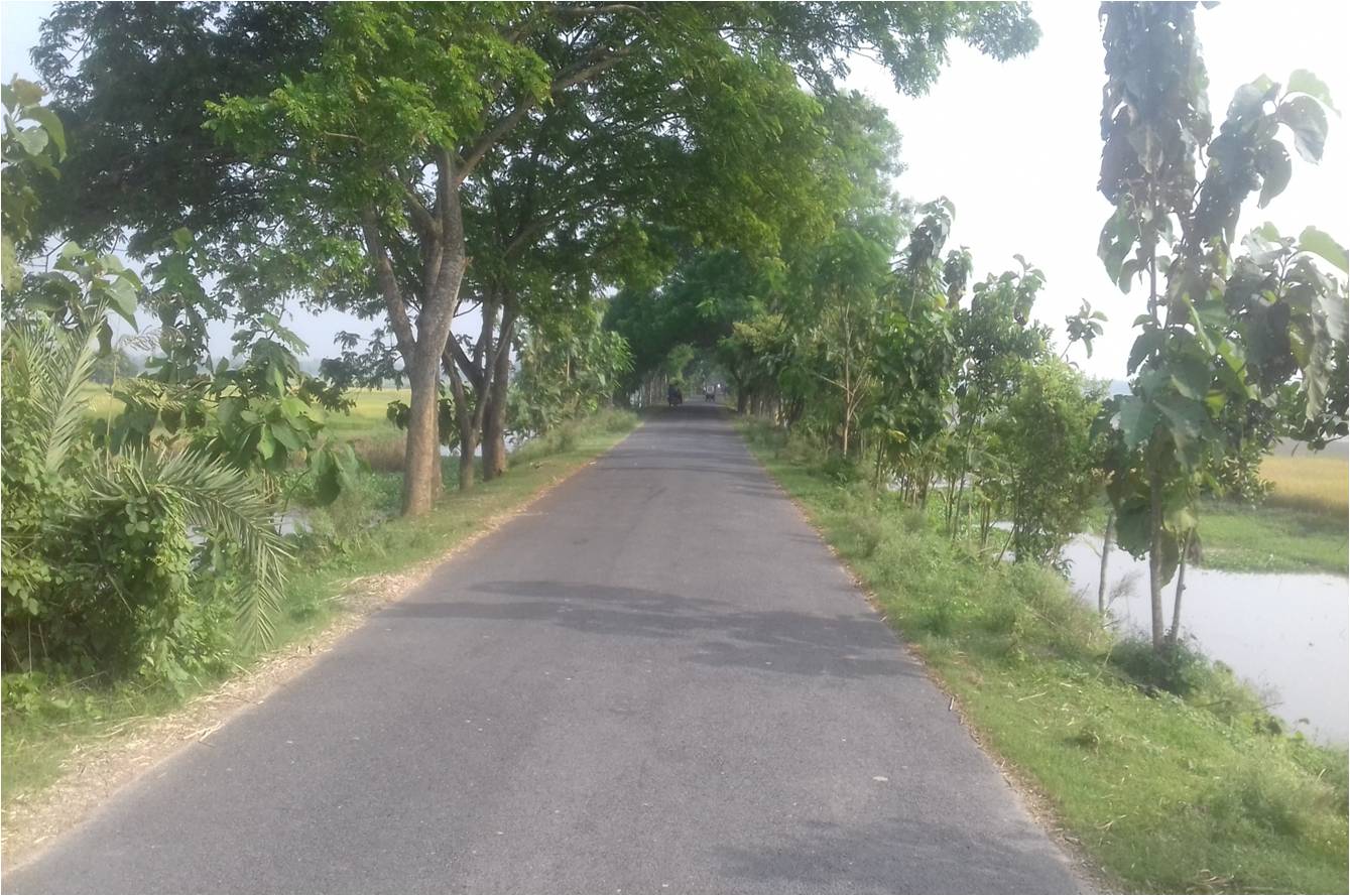 বালিয়াকান্দি জিসি - সোনাপুর জিসি সড়ক