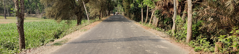 উন্নয়ন কাজ।