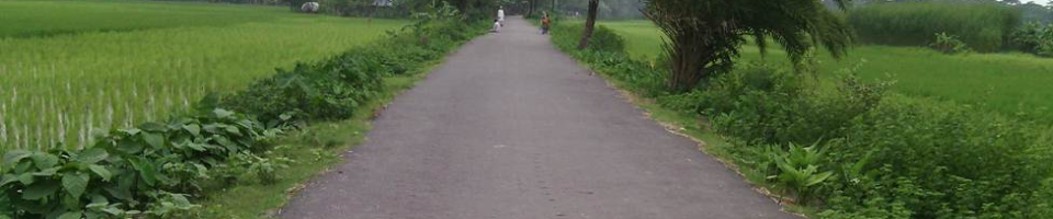 এলজিইডি কর্তৃক নির্মিত সড়ক