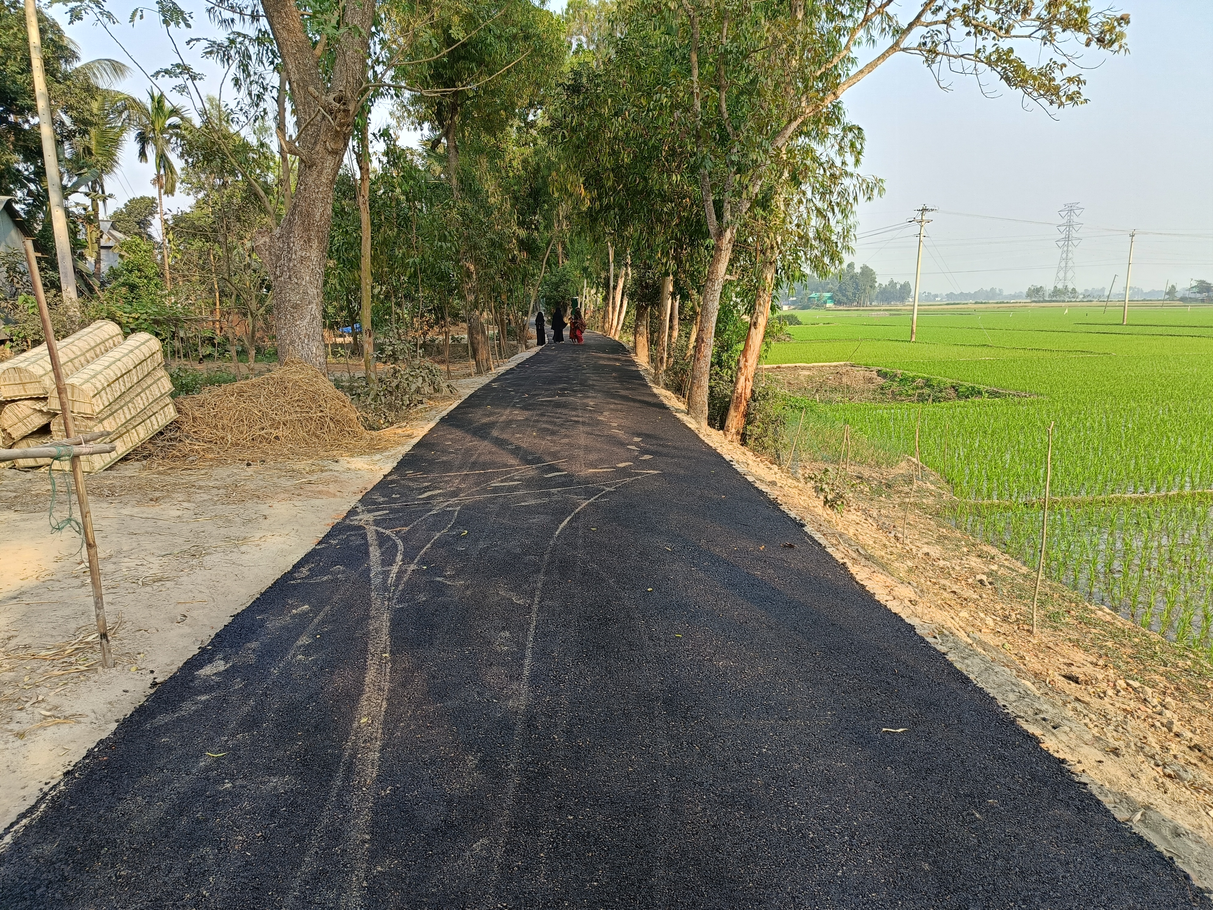 Newly Completed Carpeting Road Near Upzila HQ