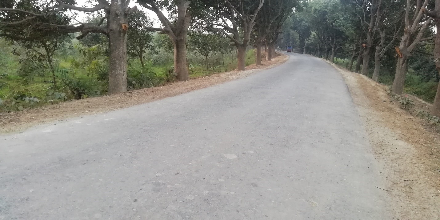 Borgachi upazila Road