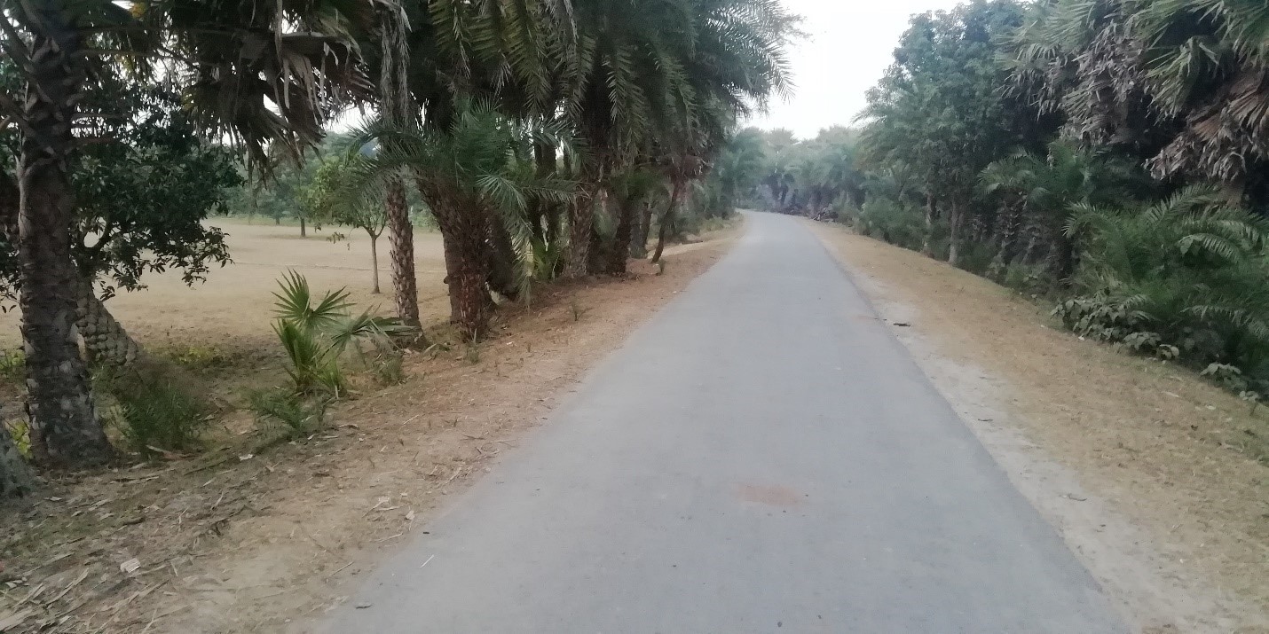 Bholahat-daldali up road