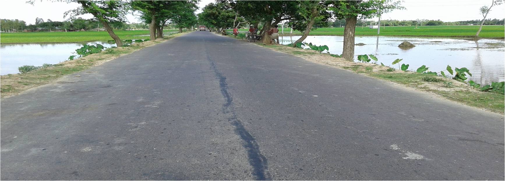 বোচাগঞ্জ হতে পীরগঞ্জ সড়ক