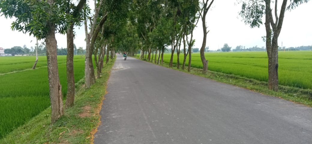 সেতাবগঞ্জ সুগার মিলস হতে মাহেরপুর হাট পর্যন্ত সড়ক