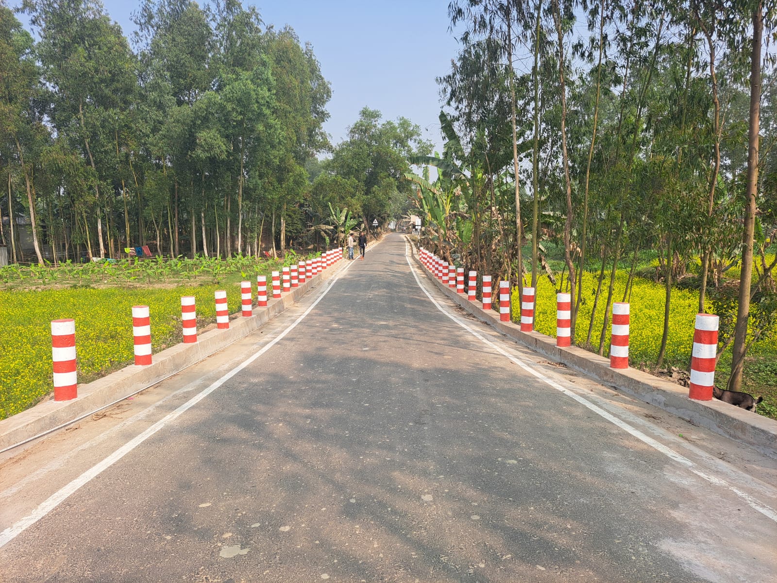 উপজেলা প্রকৌশলীর কার্যালয়, এলজিইডি, বকশীগঞ্জ, জামালপুর