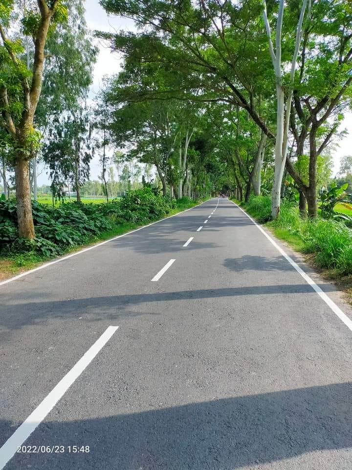 সড়ক সমূহ