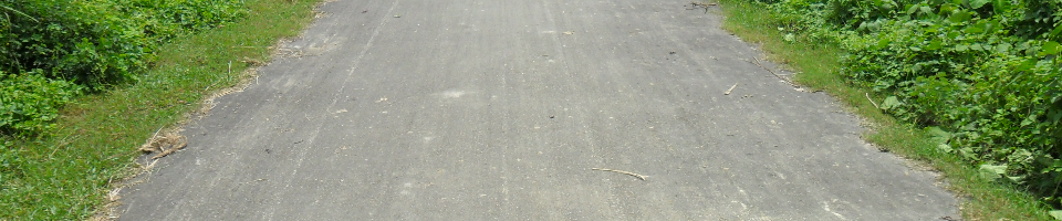 রাস্তার উন্নয়ন (পাকা করন)