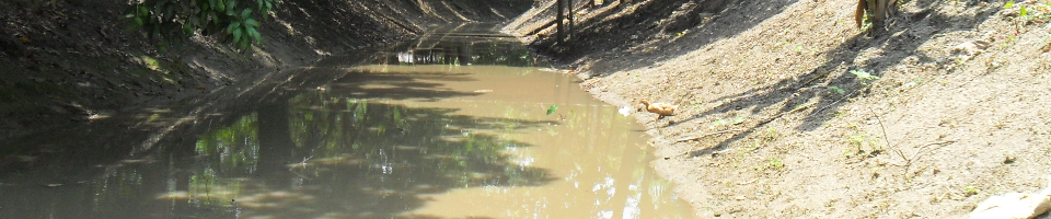 খাল পুনঃ খনন