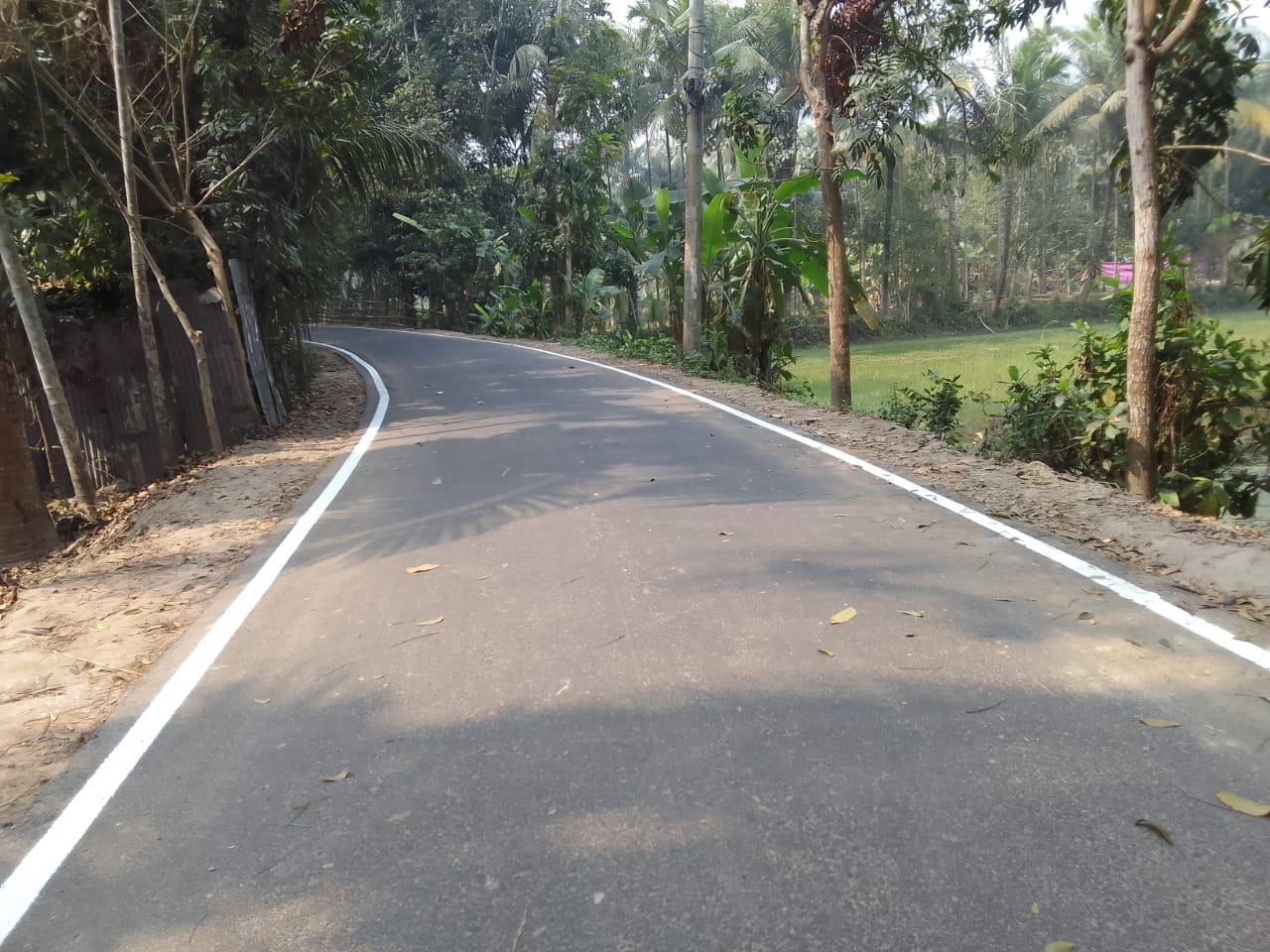 নালুয়া-শৈলদাহ