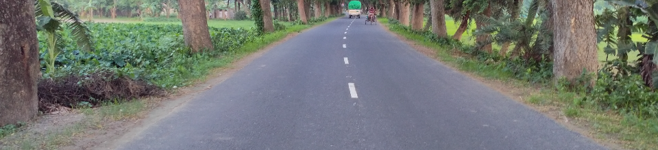 উন্নয়নকৃত রাস্তার ছবি ।