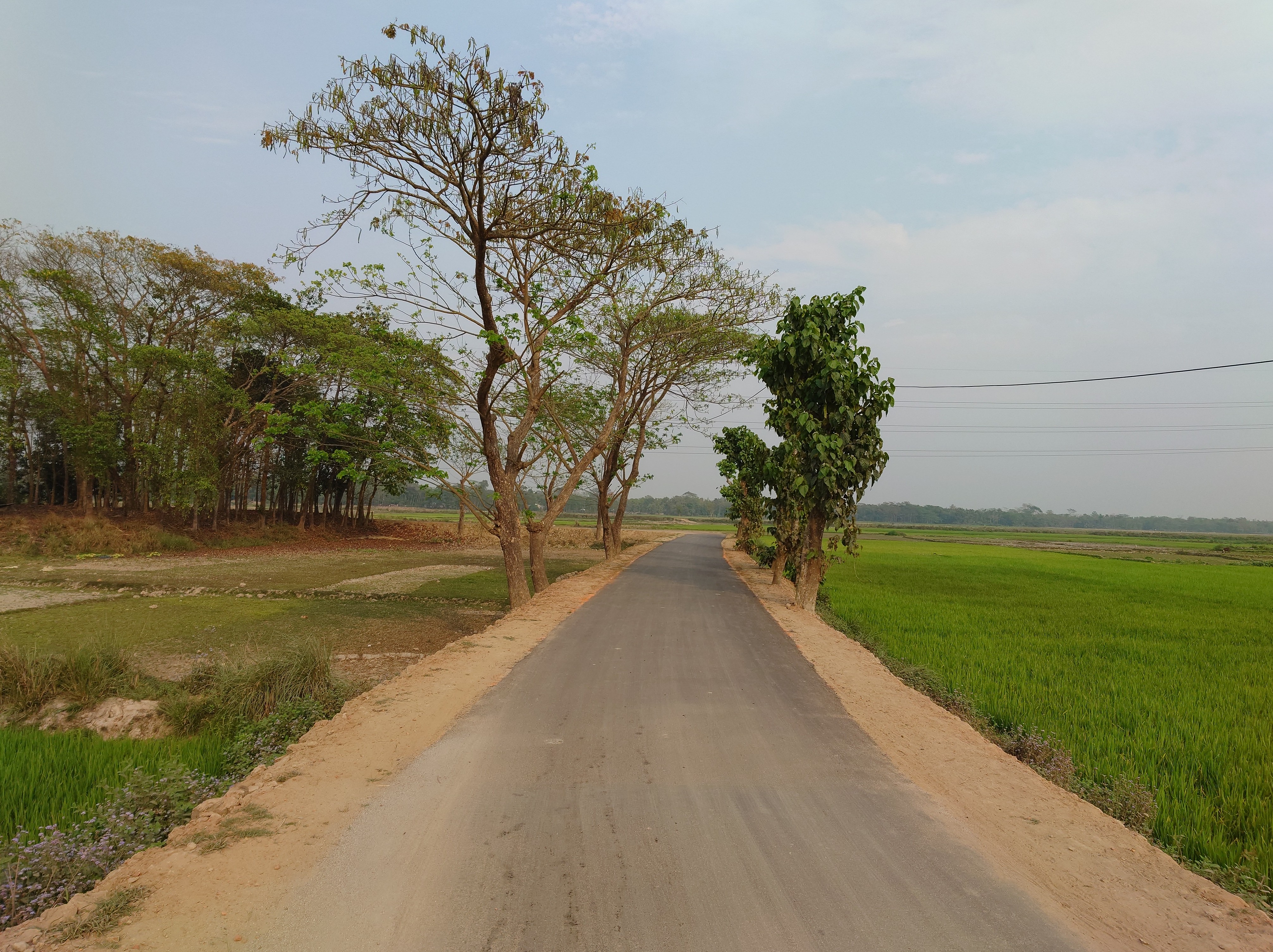 ব্যানার