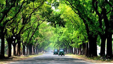 ব্যানার