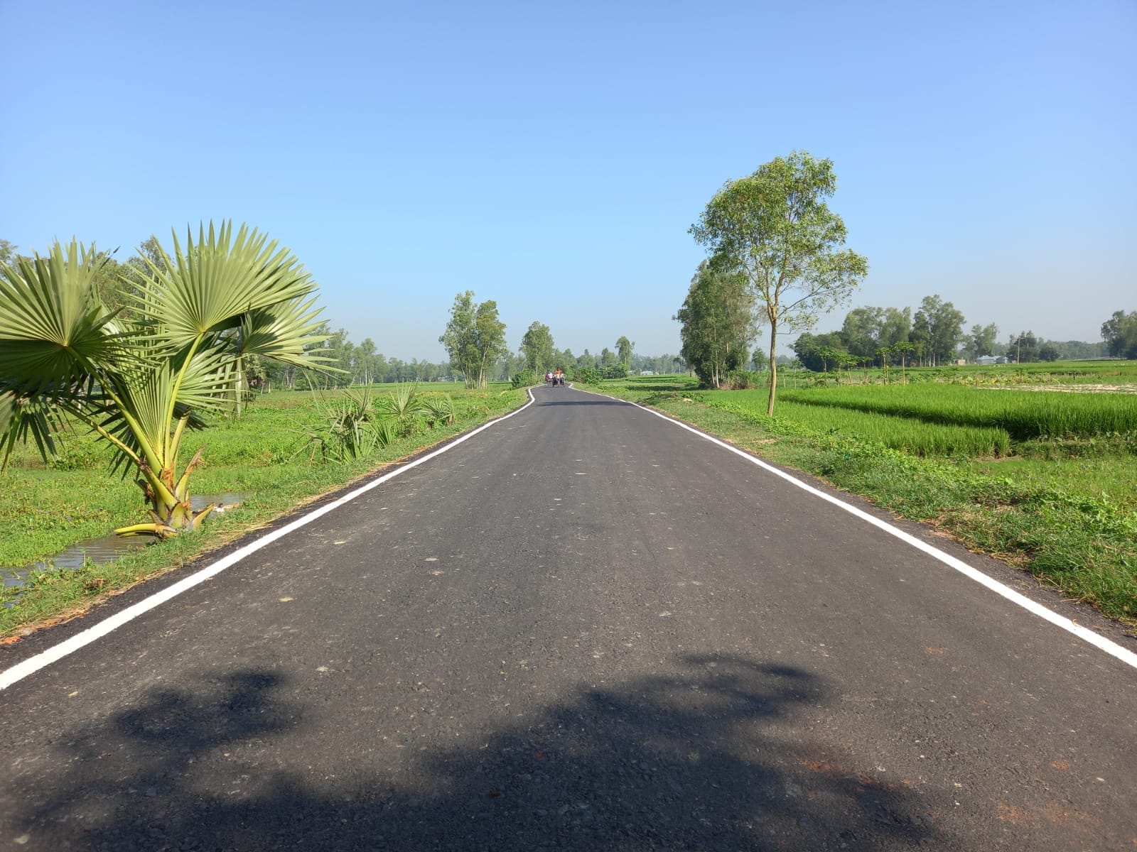 ব্যানার-২